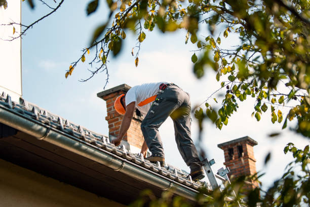 Best Rubber Roofing (EPDM, TPO)  in Bolivar, OH